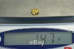 #872 Natural Gold Nugget Australian 1.47 Grams Genuine