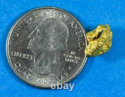 #904 Natural Gold Nugget Australian 2.75 Grams Genuine