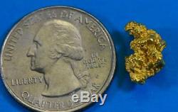 #907 Australian Natural Gold Nugget 2.95 Grams Genuine