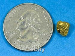 #910 Natural Gold Nugget Australian 2.02 Grams Genuine