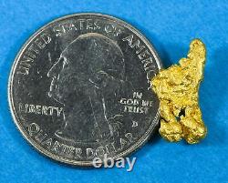 #910 Natural Gold Nugget Australian 2.75 Grams Genuine