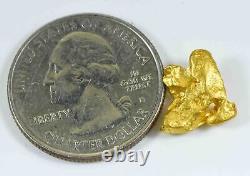 #910 Natural Gold Nugget Australian 2.91 Grams Genuine
