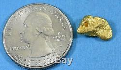 #912 Australian Natural Gold Nugget 2.78 Grams Genuine