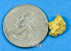 #912 Natural Gold Nugget Australian 2.83 Grams Genuine
