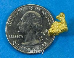 #918 Natural Gold Nugget Australian 3.18 Grams Genuine