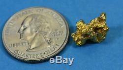 #921 Australian Natural Gold Nugget 3.22 Grams Genuine