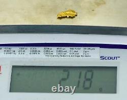 #922 Natural Gold Nugget Australian 2.18 Grams Genuine