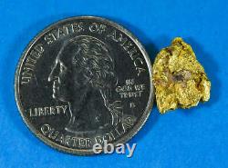 #926 Natural Gold Nugget Australian 2.31 Grams Genuine