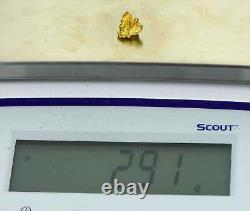 #936 Natural Gold Nugget Australian 2.91 Grams Genuine