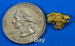 #946 Australian Natural Gold Nugget 2.41 Grams Genuine