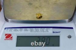 #948 Natural Gold Nugget Australian 2.90 Grams Genuine