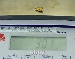 #950 Natural Gold Nugget Australian 3.01 Grams Genuine