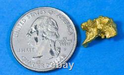 #951 Natural Gold Nugget Australian 3.21 Grams Genuine