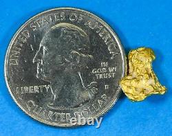 #953 Natural Gold Nugget Australian 2.08 Grams Genuine