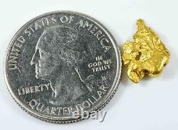 #955 Natural Gold Nugget Australian 2.02 Grams Genuine