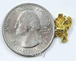 #97 Alaskan BC Natural Gold Nugget 1.57 Grams Genuine