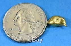 #971 Australian Natural Gold Nugget 2.40 Grams Genuine