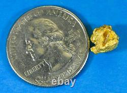 #972 Natural Gold Nugget Australian 2.43 Grams Genuine