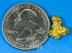 #974 Natural Gold Nugget Australian 2.10 Grams Genuine