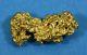 #975 Australian Natural Gold Nugget 4.34 Grams Genuine