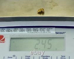 #976 Natural Gold Nugget Australian 2.45 Grams Genuine