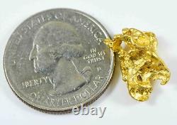 #981 Natural Gold Nugget Australian 4.81 Grams Genuine