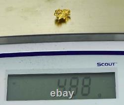 #998 Natural Gold Nugget Australian 4.88 Grams Genuine
