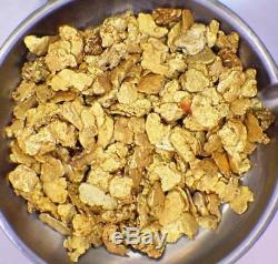 AUGUST SPECIAL! GOLD NUGGETS 10+ GRAMS Natural Placer Alaska Natural #10 DW Cr