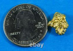 AUQN-1 Natural Australian Gold Nugget with Quartz Genuine 3.61 Grams