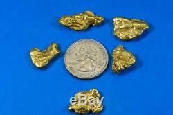 Alaskan BC Natural Gold Nugget 1 Troy Oz. Lot of 5-10 gram Nuggets Genuine