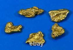 Alaskan BC Natural Gold Nugget 1 Troy Oz. Lot of 5-10 gram Nuggets Genuine B&C G