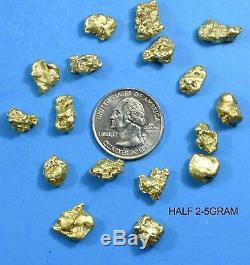 Alaskan BC Natural Gold Nugget 100 Gram lot of 2 to 5 gram Nuggets Genuine