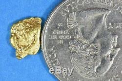 Alaskan BC Natural Gold Nugget 100 Gram lot of 2 to 5 gram Nuggets Genuine