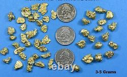 Alaskan BC Natural Gold Nugget 100 Gram lot of 2 to 5 gram Nuggets Genuine B&C