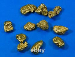 Alaskan BC Natural Gold Nugget 2 Troy Oz. Lot of 5-10 gram Nuggets Genuine B& C