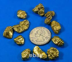 Alaskan BC Natural Gold Nugget 2 Troy Oz. Lot of 5-10 gram Nuggets Genuine B& C