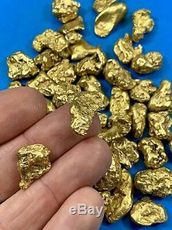 Alaskan BC Natural Gold Nugget 311.00 Gram lot of 5 to 10 gram Nuggets Genuine 1