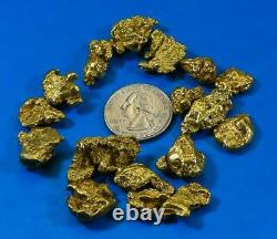 Alaskan BC Natural Gold Nugget 5 Troy Oz. Lot of 5-10 gram Nuggets Genuine B& C
