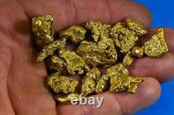Alaskan BC Natural Gold Nugget 5 Troy Oz. Lot of 5-10 gram Nuggets Genuine B& C