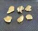 Alaskan Bc Small Natural Gold Nuggets 3.22 Grams Total Genuine Great Investment