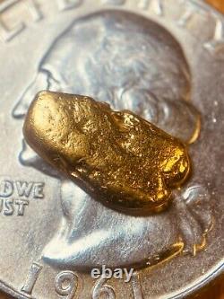 Alaskan Natural Placer Gold Nugget 1.089 grams Free Shipping! #A889