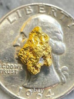 Alaskan Natural Placer Gold Nugget. 900 grams Free Shipping! #A2772