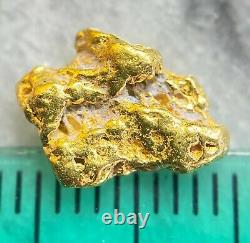 Alaskan Natural Placer Gold Nugget. 900 grams Free Shipping! #A2772