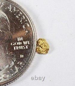Alaskan-Yukon BC Gold Rush Natural Gold Nugget 0.34 Grams 5 Piece Lot Genuine