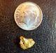 Alaskan-yukon Bc Natural Gold Nugget 1.9 Grams