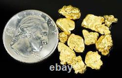 Alaskan-Yukon BC Natural Gold Nugget #4 10 GRAMS OF CLEAN GOLD FLAKES
