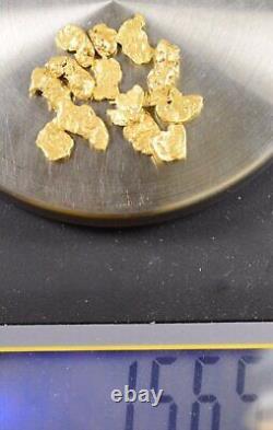 Alaskan-Yukon BC Natural Gold Nugget #4 Mesh 1/2 Troy Ounce 15.55 Gram 10 DWT