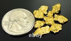 Alaskan-Yukon BC Natural Gold Nugget #4 Mesh 1/4 Troy Ounce 7.75 Gram 5 DWT