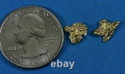 Alaskan-Yukon BC Natural Gold Nugget Stud Earrings 1.20 to 1.30 Grams