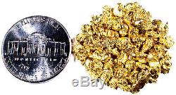 Alaskan Yukon Bc Natural Pure Gold Nuggets #8 Mesh 2.000 Grams Free Shipping